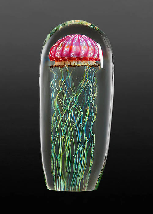 Gold Ruby Jellyfish