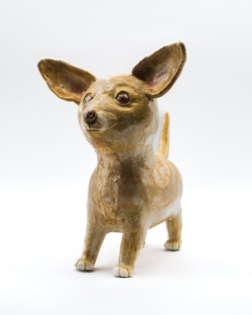 Brown Chihuahua by Susan Morse