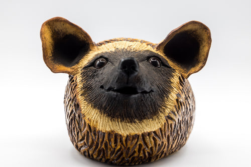 Ceramic Hedgehog